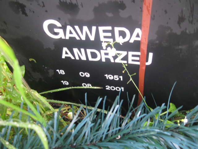 Damian Gawęda 1978 Żory - Grobonet - Wyszukiwarka osób pochowanych