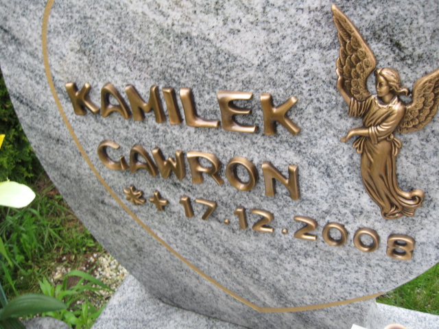 Kamil Gawron 2008 Żory - Grobonet - Wyszukiwarka osób pochowanych