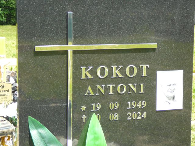 Antoni Kokot 1949 Żory - Grobonet - Wyszukiwarka osób pochowanych